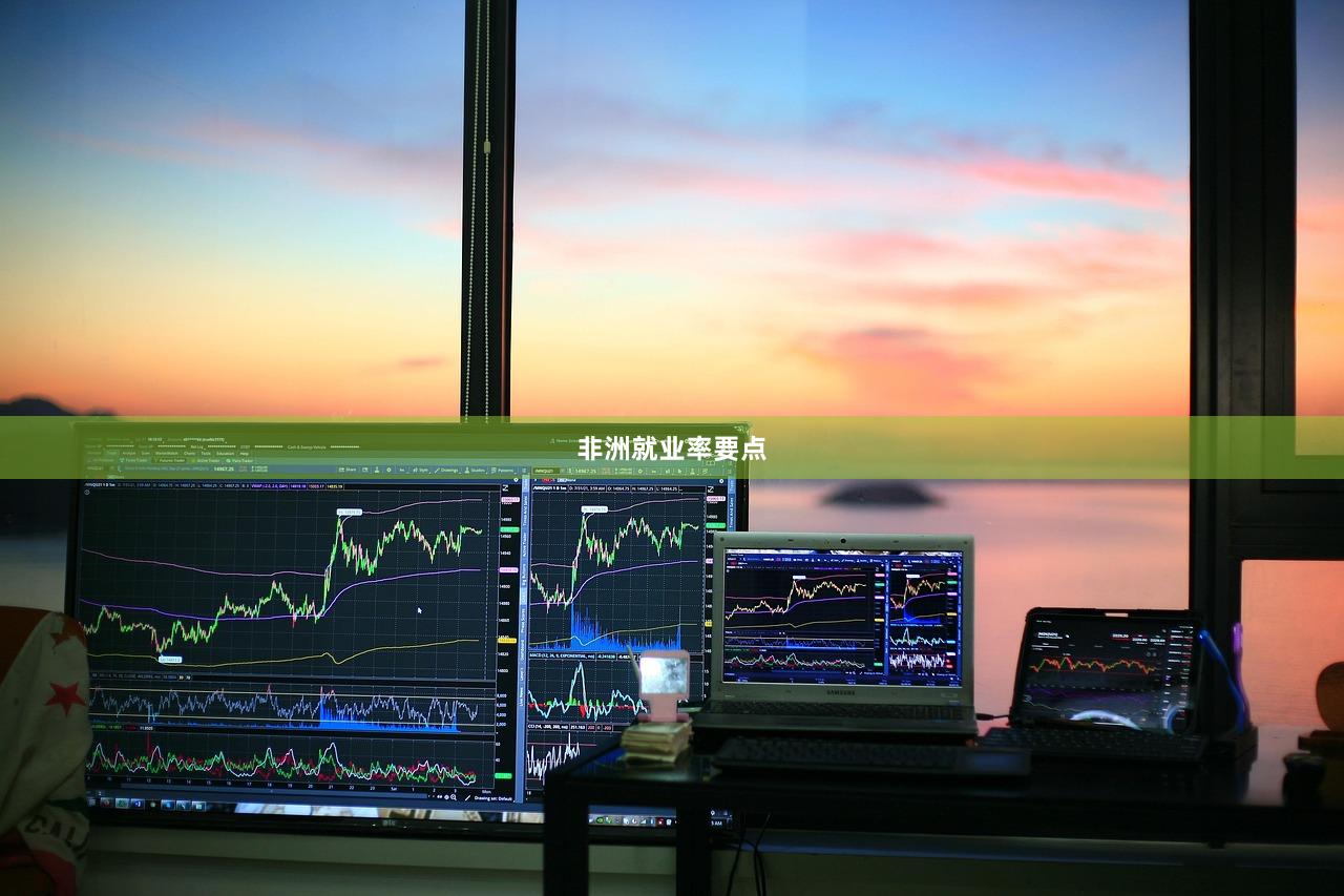 非洲就业率要点